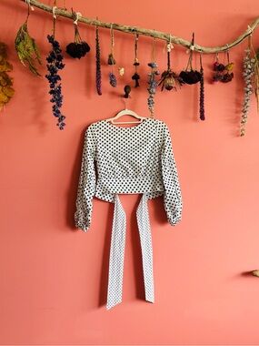 Zara Cropped Rear Tie Blouse